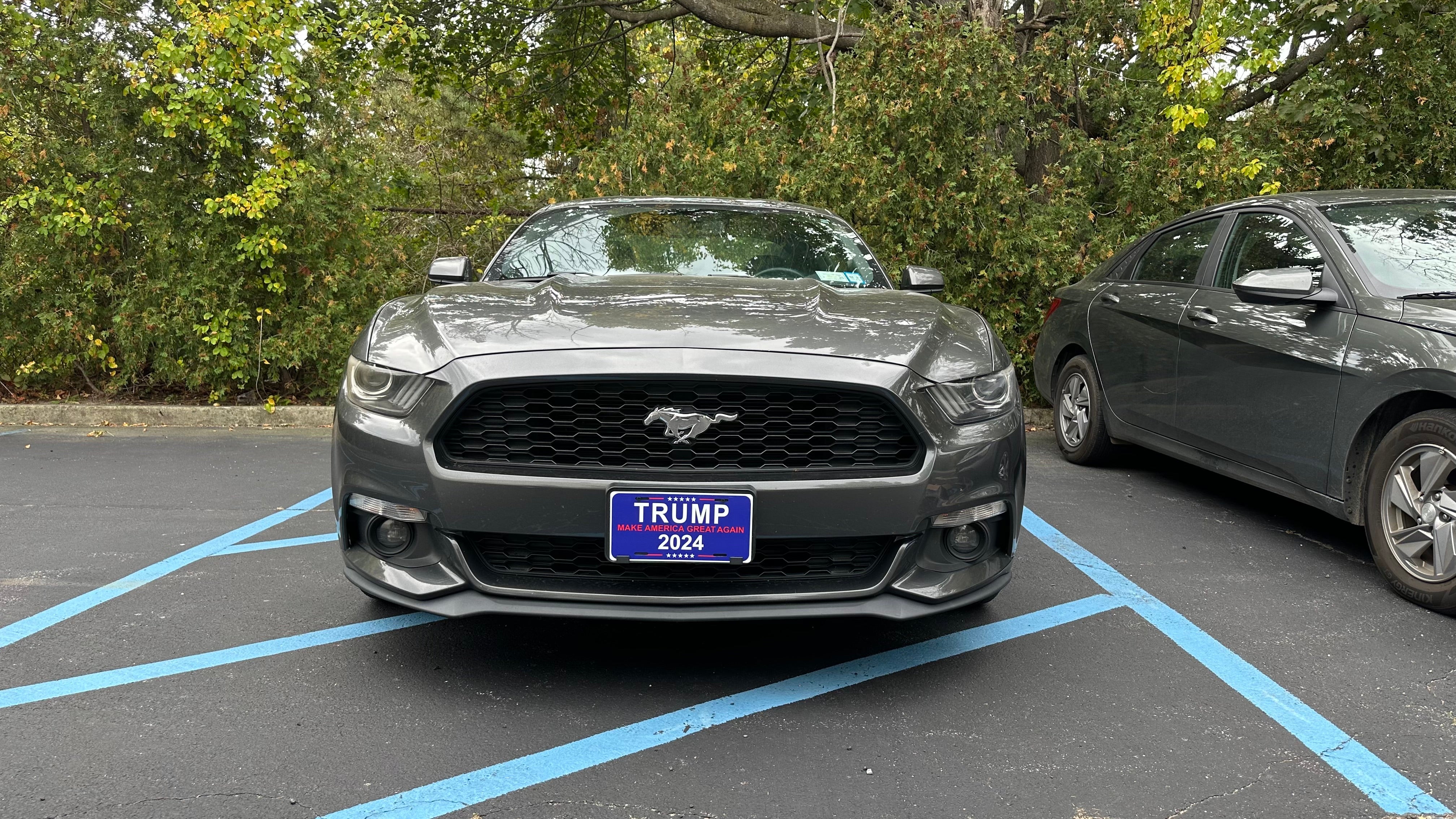 Make America Great Vanity Plate - Image 4