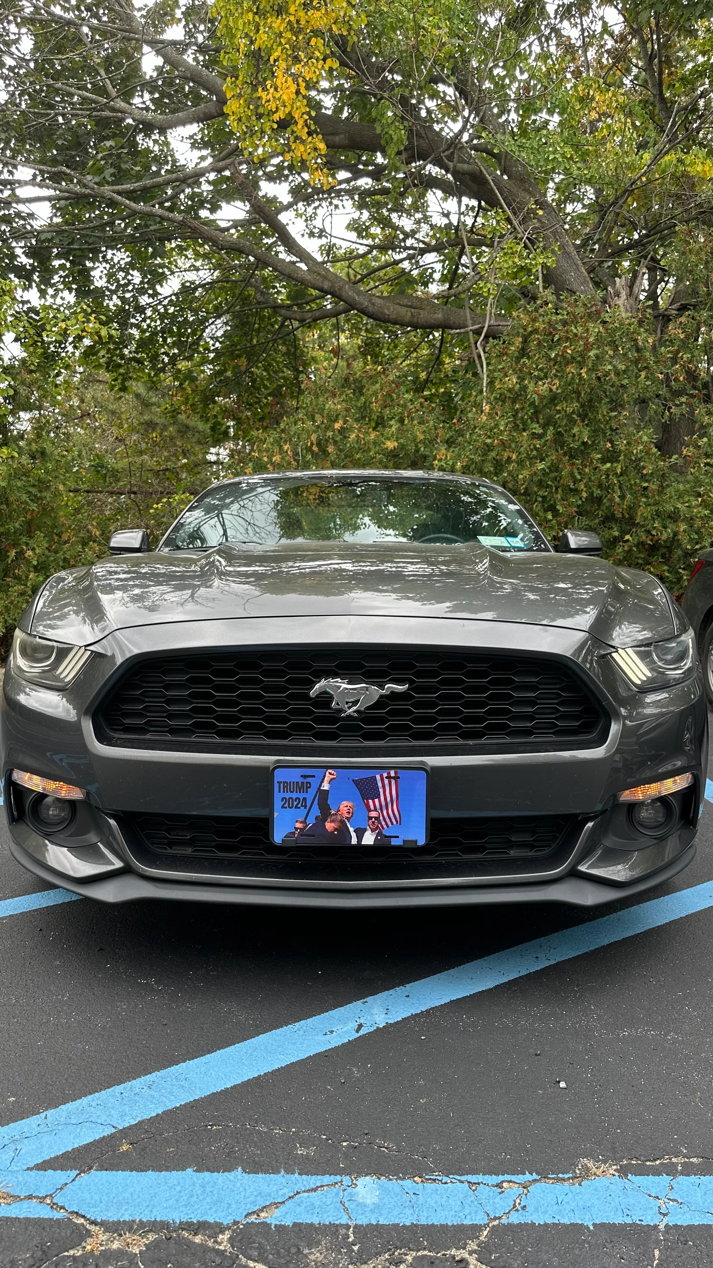 Trump License Plate - Image 3